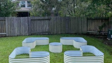 Petit carré potager de légumes verts vu de près