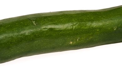 Courgettes vertes sur un étal de marché