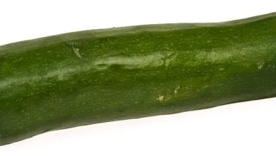 Courgettes vertes sur un étal de marché