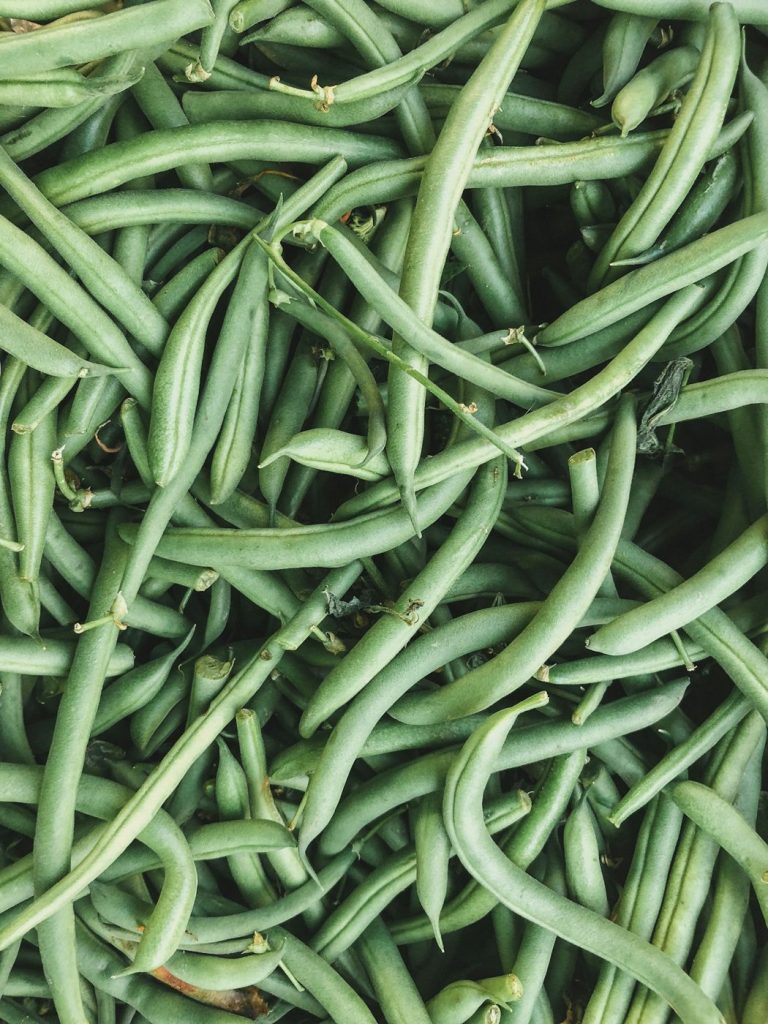 Haricots à rames ou nains : choisir avant de semer