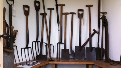 Abri de jardin avec outils rangés