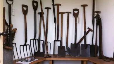 Abri de jardin avec outils rangés