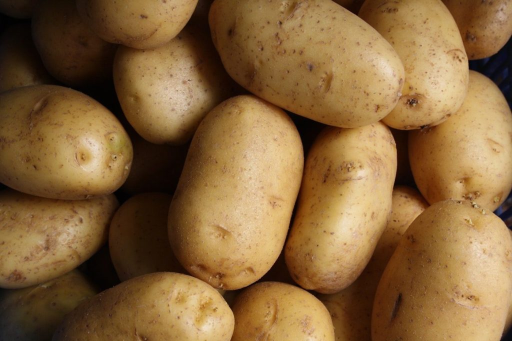 Pommes de terre au jardin : plants certifiés, buttage, récolte