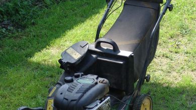 Pelouse verte tondue à hauteur raisonnable