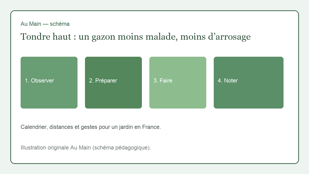 Gazon tondu haut, lame réglée, bande encore longue le long d’une haie